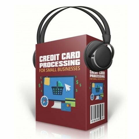 Credit Card Processing for Small Businesses 387x480.jpg